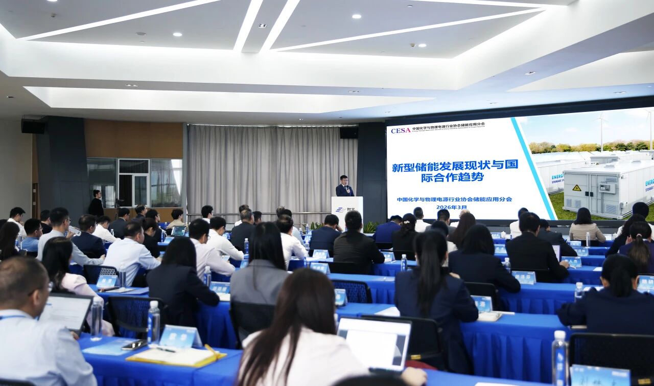 行业专家洞见 | pg麻将胡了电气论坛聚焦新型储能高质量生长